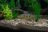 DSC_4496.JPG DSC_4496.JPG