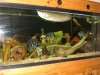 DSC02507.jpg