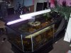 Aquaripond.JPG