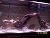 100_1254.JPG