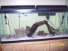 100_1252.JPG