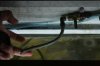 150 water valve n tubing.jpg