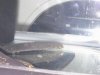 IMAG0034.JPG