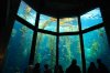 DSC_0177_137.JPG