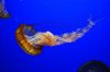 DSC_0391_351.JPG