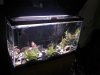 pirhana tank.jpg