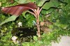 150 porch pond.jpg