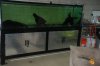 stand update 002.jpg