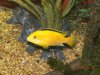 FISHSIFH 076.JPG