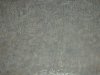 growth strip surface.JPG growth strip surface.JPG