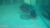 DSC01064.JPG
