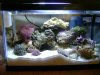 Aquarium 003.JPG