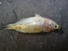 DSC00648.JPG