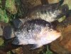 DSCF6572.jpg