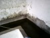 DSC00664.JPG