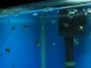 IMG_6099.JPG