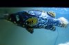 DSC_0192.JPG