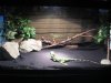 dragonsetup.jpg