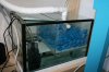 diy wet dry with spray bar.jpg diy wet dry with spray bar.jpg