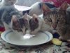 14042009655.jpg
