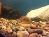 IMG00140-20100103-2155.jpg