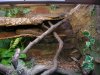 DSCN0405.JPG DSCN0405.JPG
