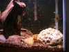 DSCN49850550.JPG