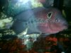 DSC00785.JPG