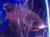 100_1112.jpg