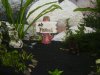 DSCN0780.JPG