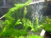 DSCN0813.JPG