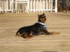 Roxy tanning.jpg