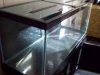 Fish Tank (1).jpg