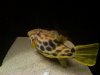 IMG00111-20100118-2224.jpg