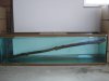 Resized_storm 048wood111.jpg