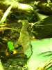 DSCN2450.JPG