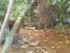 DSCN2472.JPG