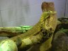 DSCN2475.JPG