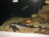 IMG_1284.JPG