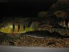 IMG_1287.JPG