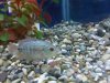IMG00080_20100119_1335.jpg