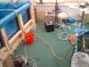 DSC05465.JPG DSC05465.JPG
