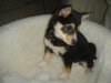 DSC01398.JPG