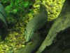 jc pics 040.JPG