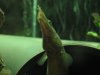 jc pics 049.JPG