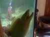 post-12044-1251276531_thumb.jpg