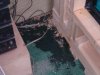 DSC05508.JPG