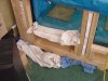 DSC05514.JPG