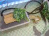 DSC05504.JPG
