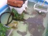 DSC05505.JPG